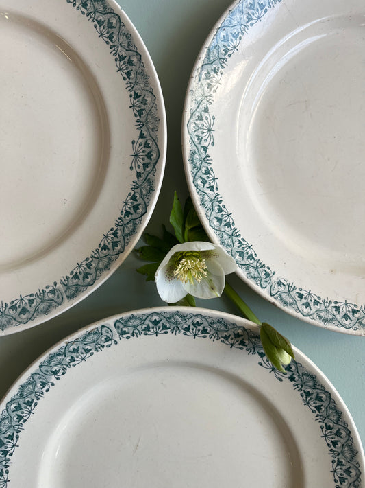 Assiettes plates Longchamp modèle « andré » lot de 3