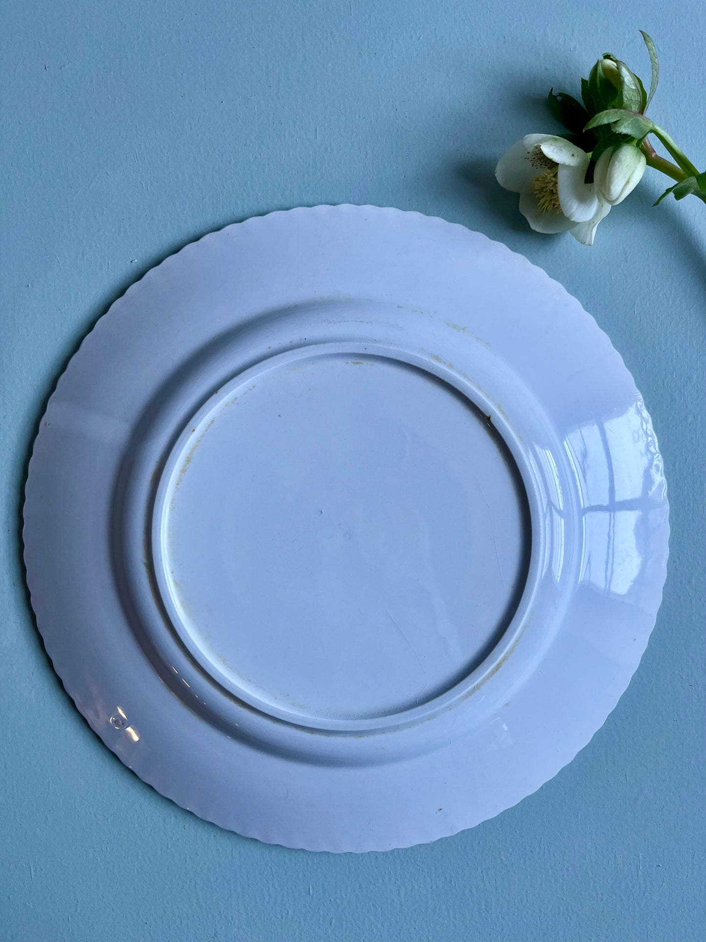 Assiettes plates en faïence blanches-lot de 2