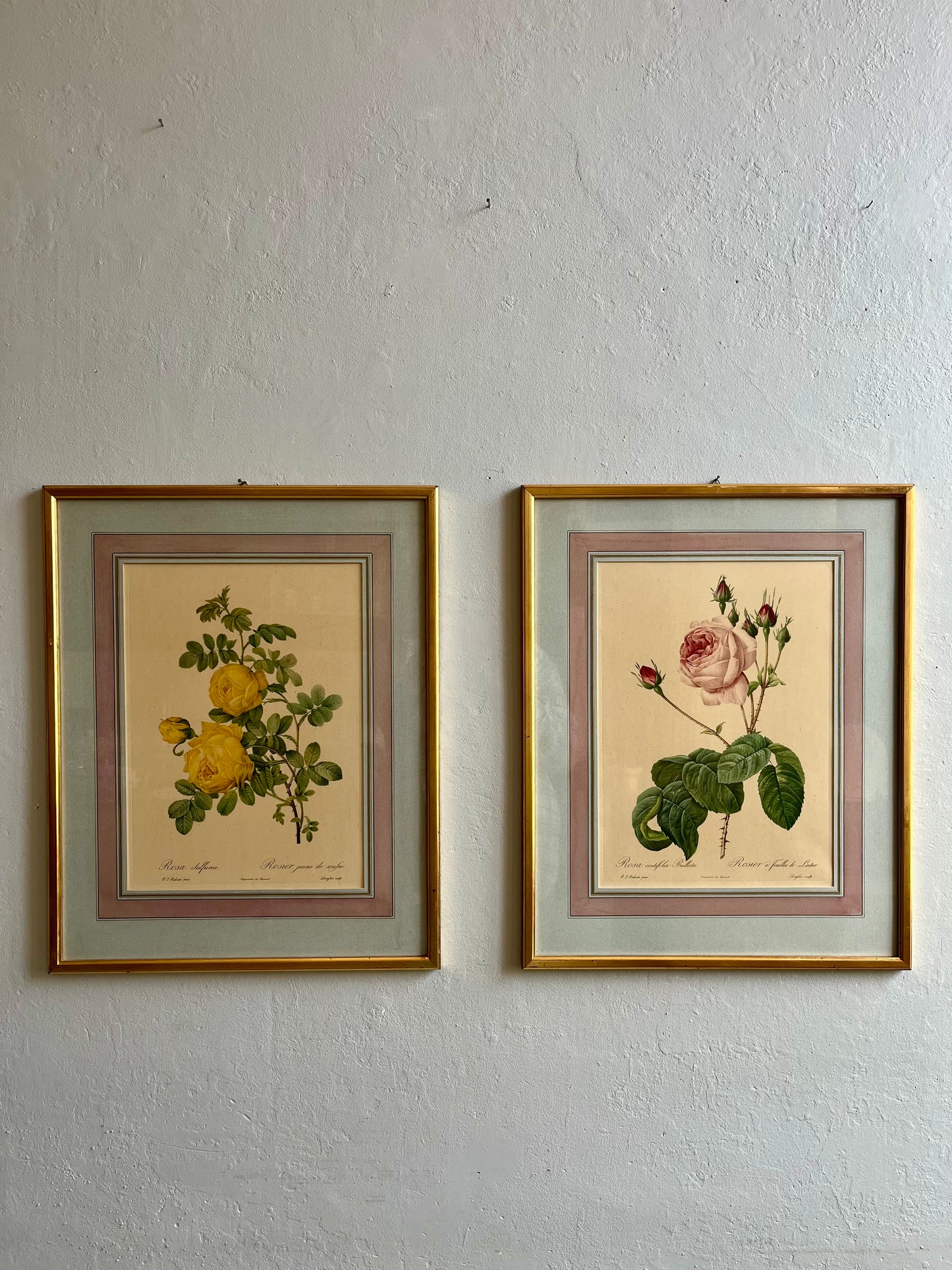 Tableau-lithographie rose encadré