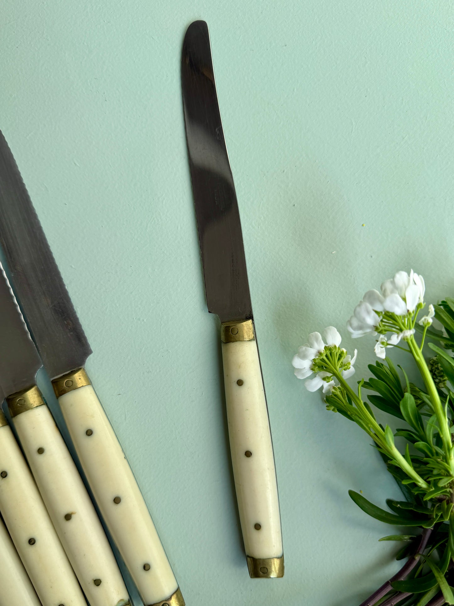 Couteaux LAVinox - lot de 6