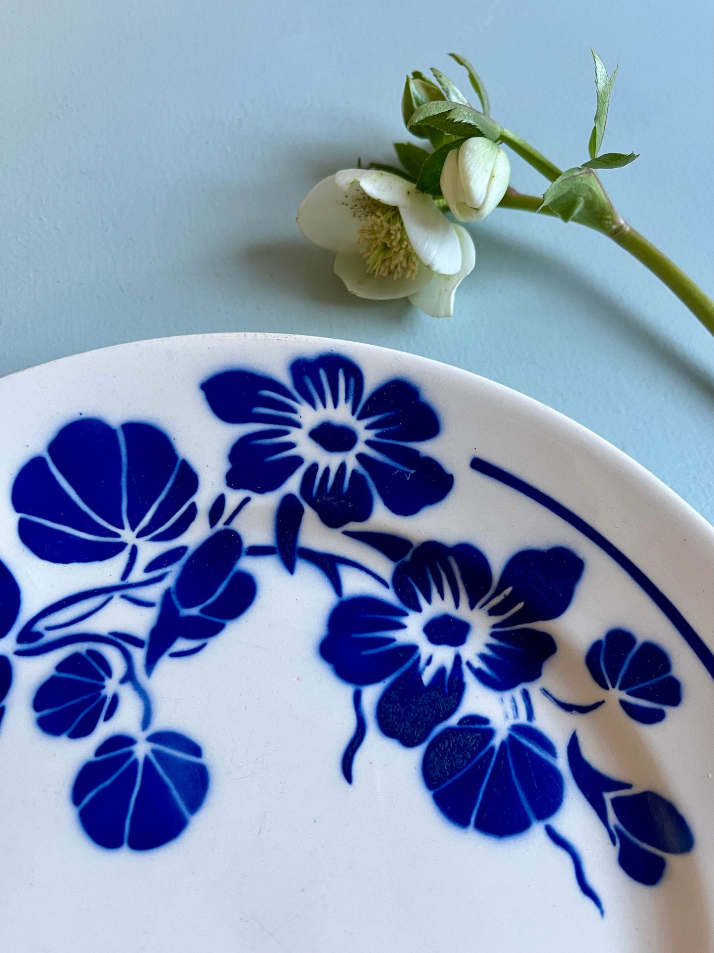 Assiette en faïence vintage motif fleurs bleues-Badonvillier