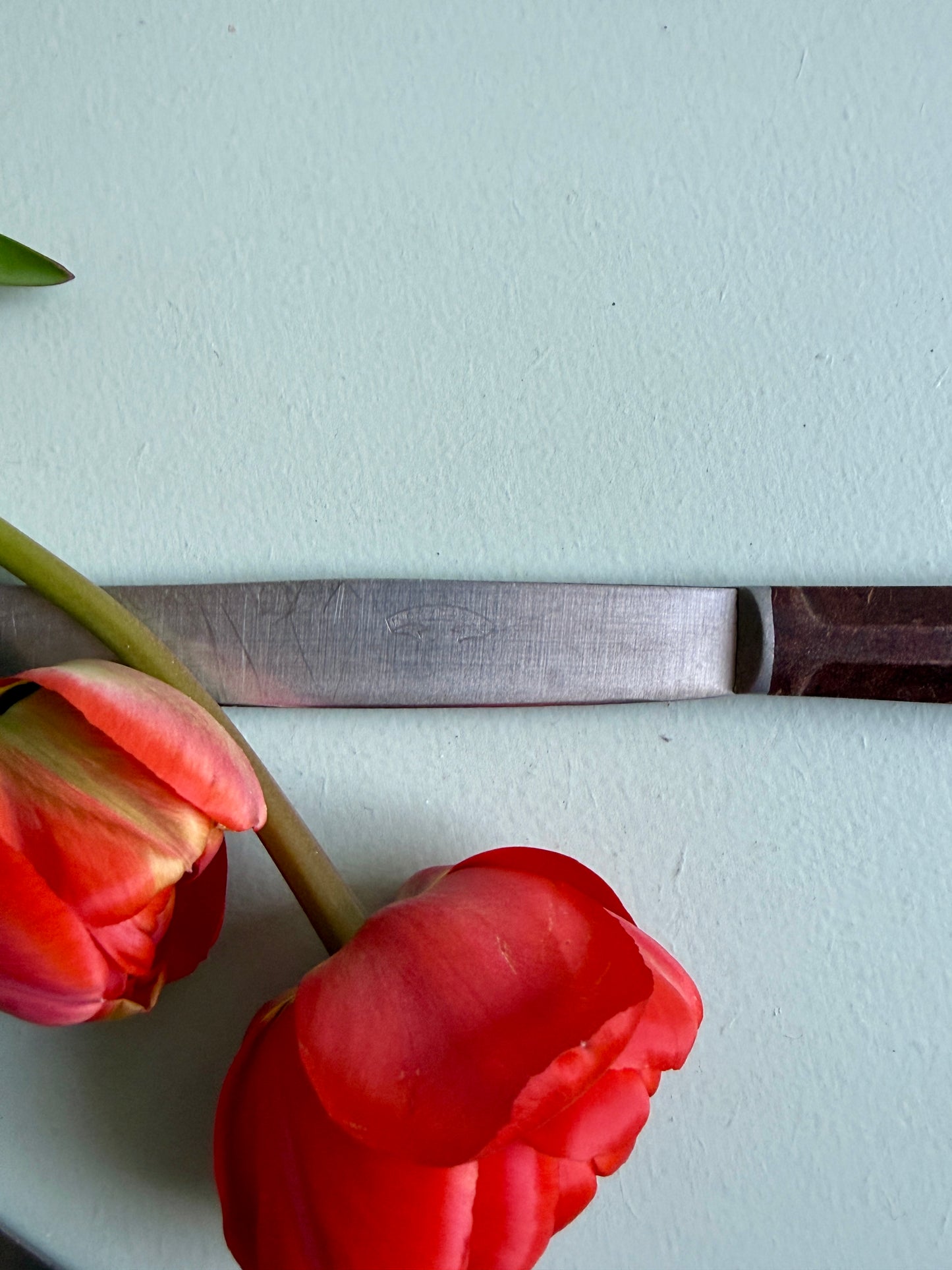 Couteaux inoxydables - lot de 6