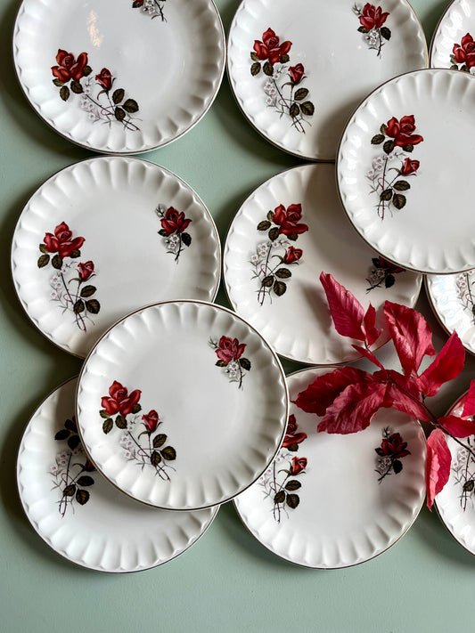 Assiettes à dessert Sarreguemines Vércor – Lot de 11 Vaisselle Patine