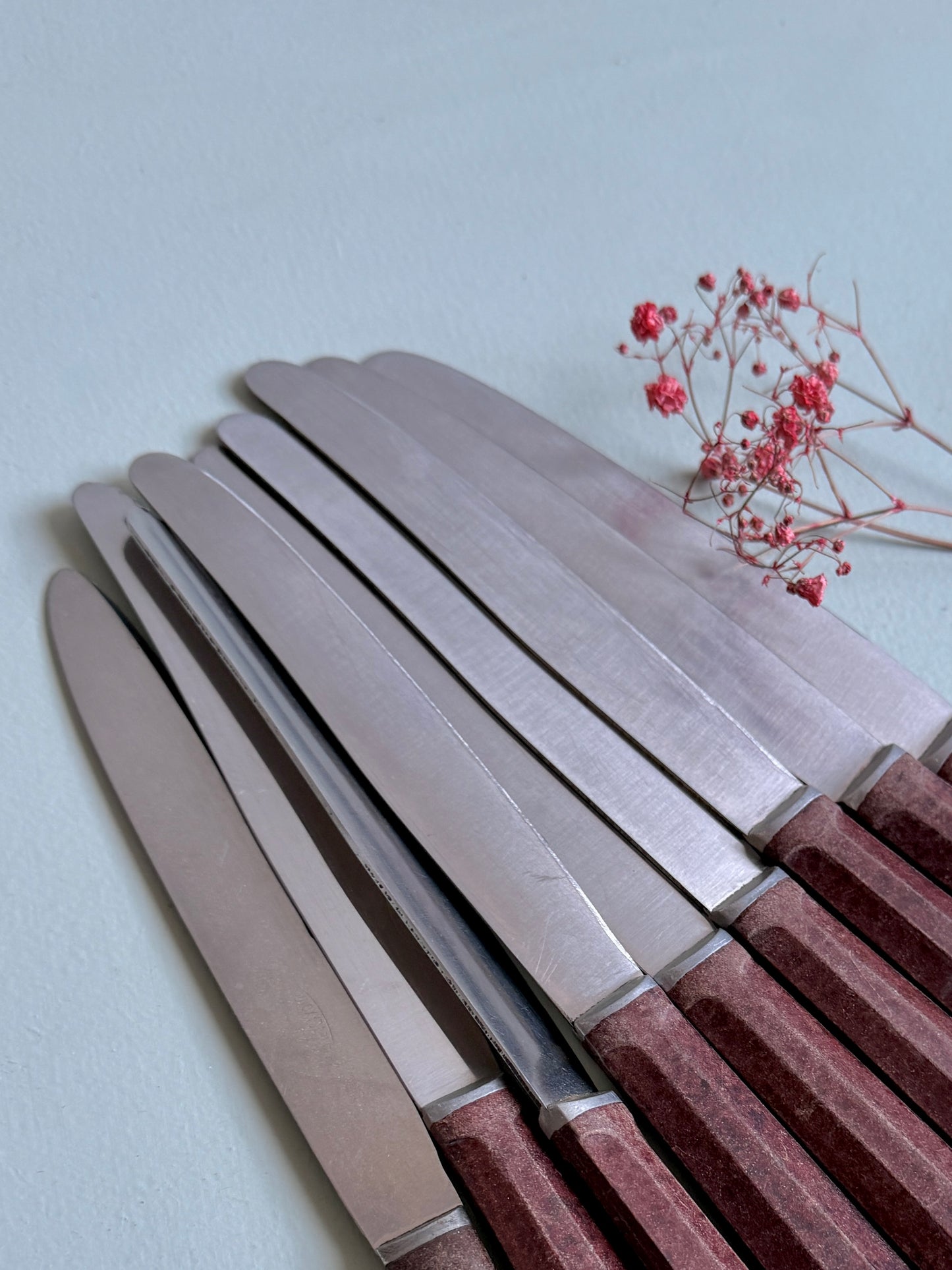 Couteaux inoxydables - lot de 9