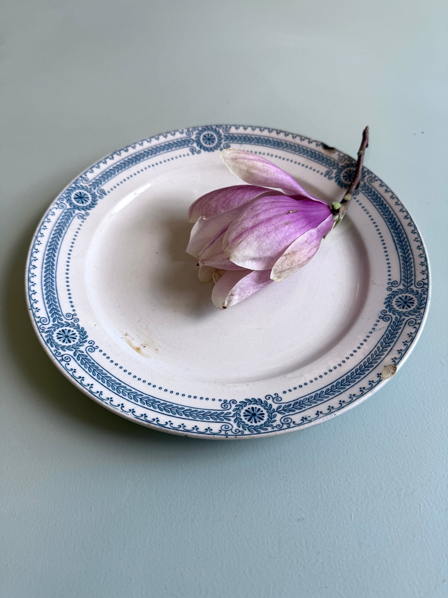 Assiette plate modèle Carina de Sarreguemines