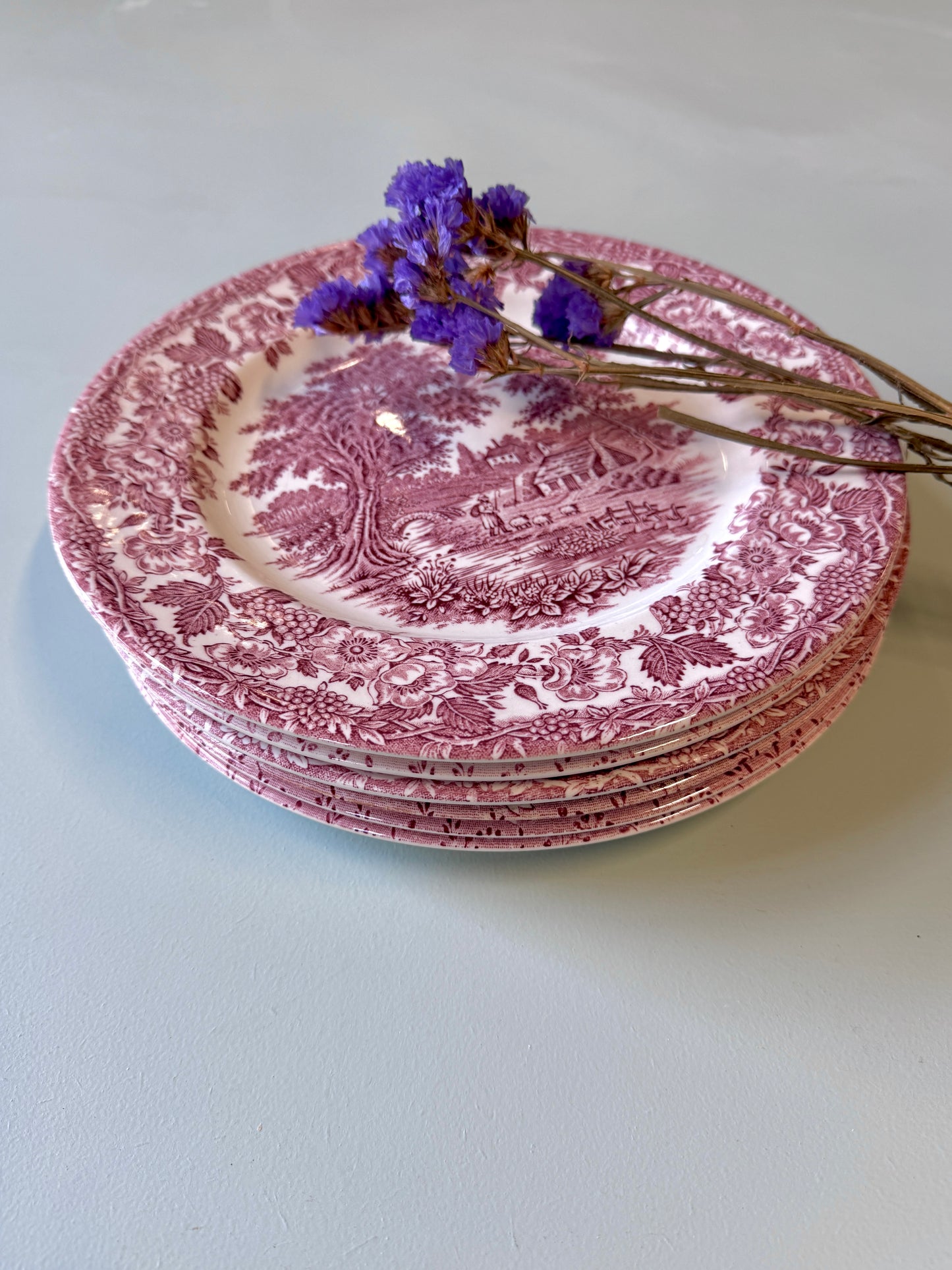 Assiettes plates en terre de fer England - lot de 6