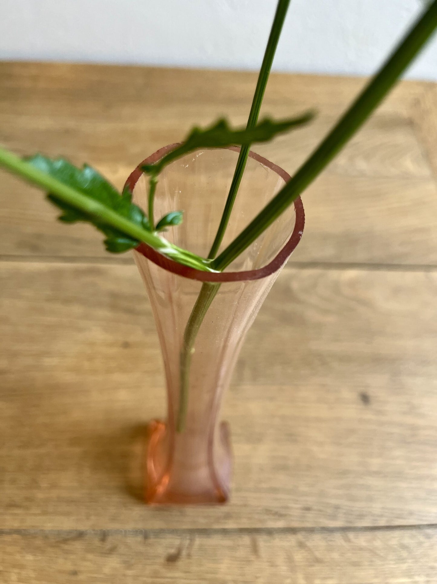 Soliflore en rosaline