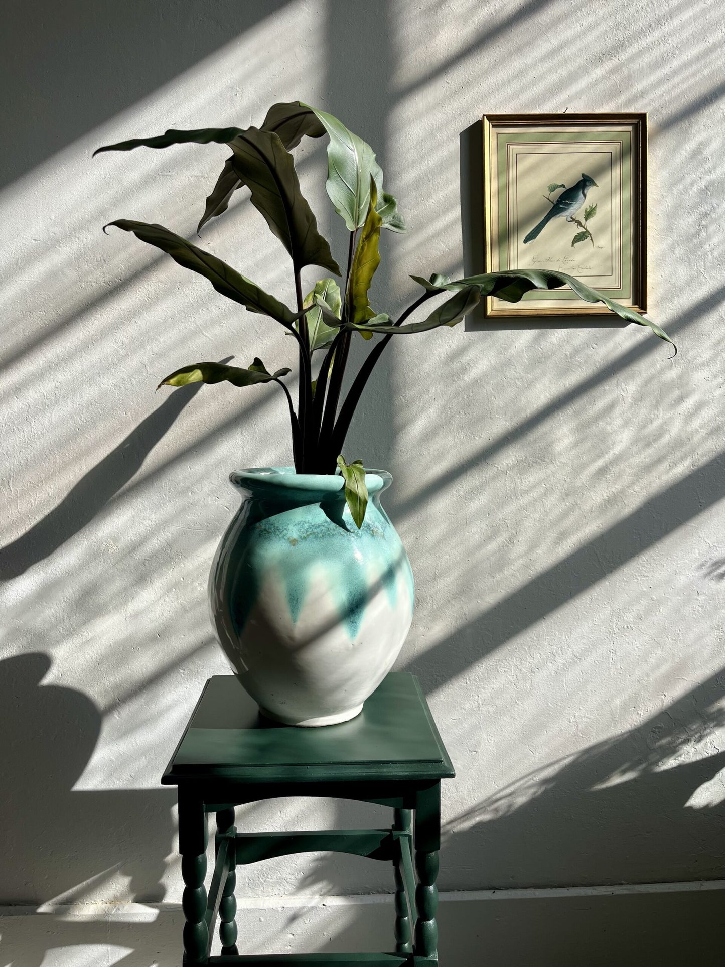 Sellette vert profond