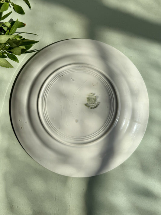 1 assiette plate Saint-Amand