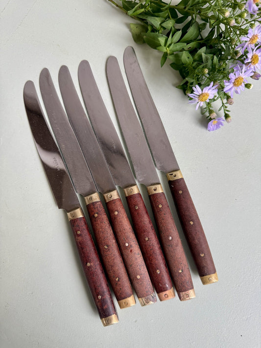 Lot de 6 couteaux à manche en bois