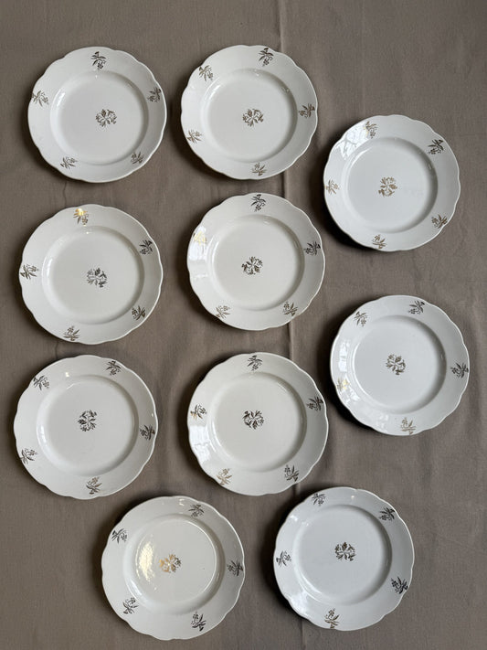 Lot de 10 assiettes plates en faïence blanche