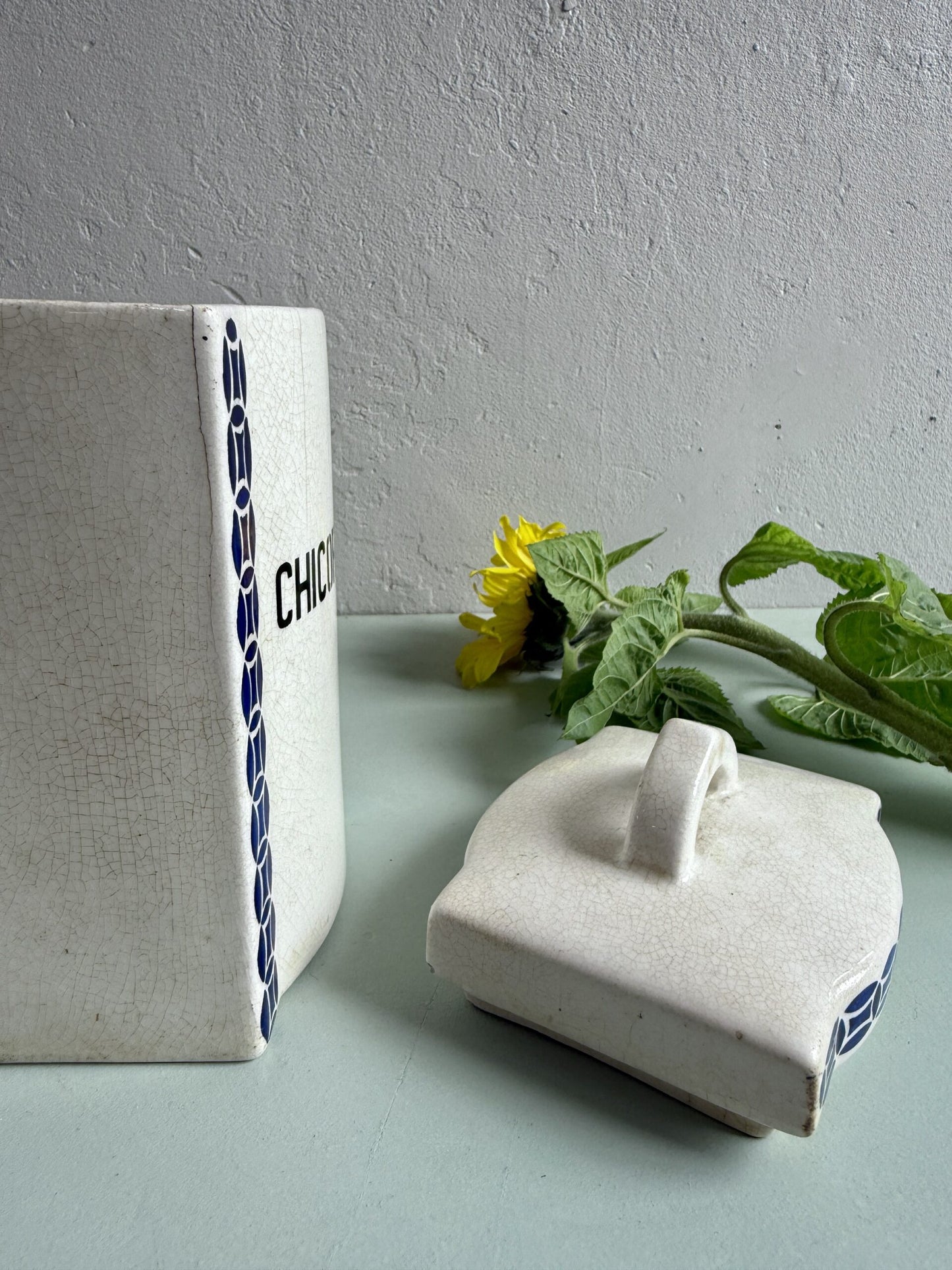 Pot à épices en faïence Chicorée