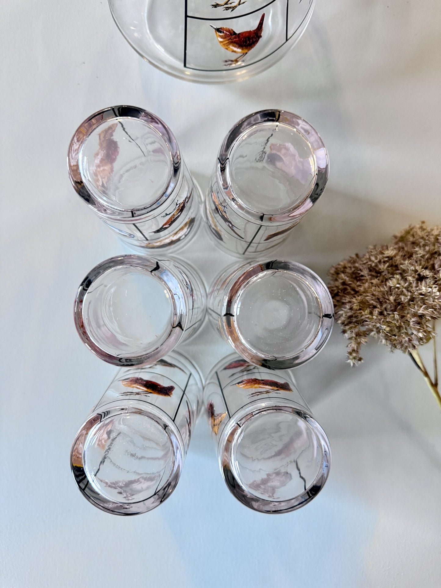 Carafe et lot de 6 verres motifs d’oiseaux de Luminarc