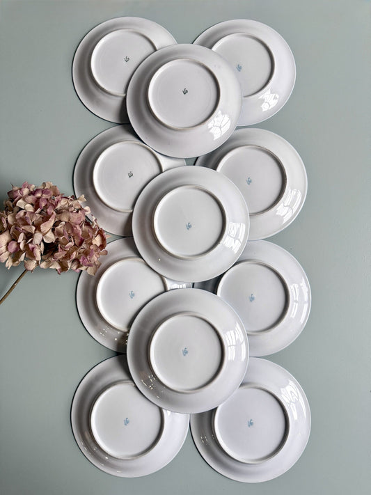 Assiettes plates en porcelaine FP - lot de 11
