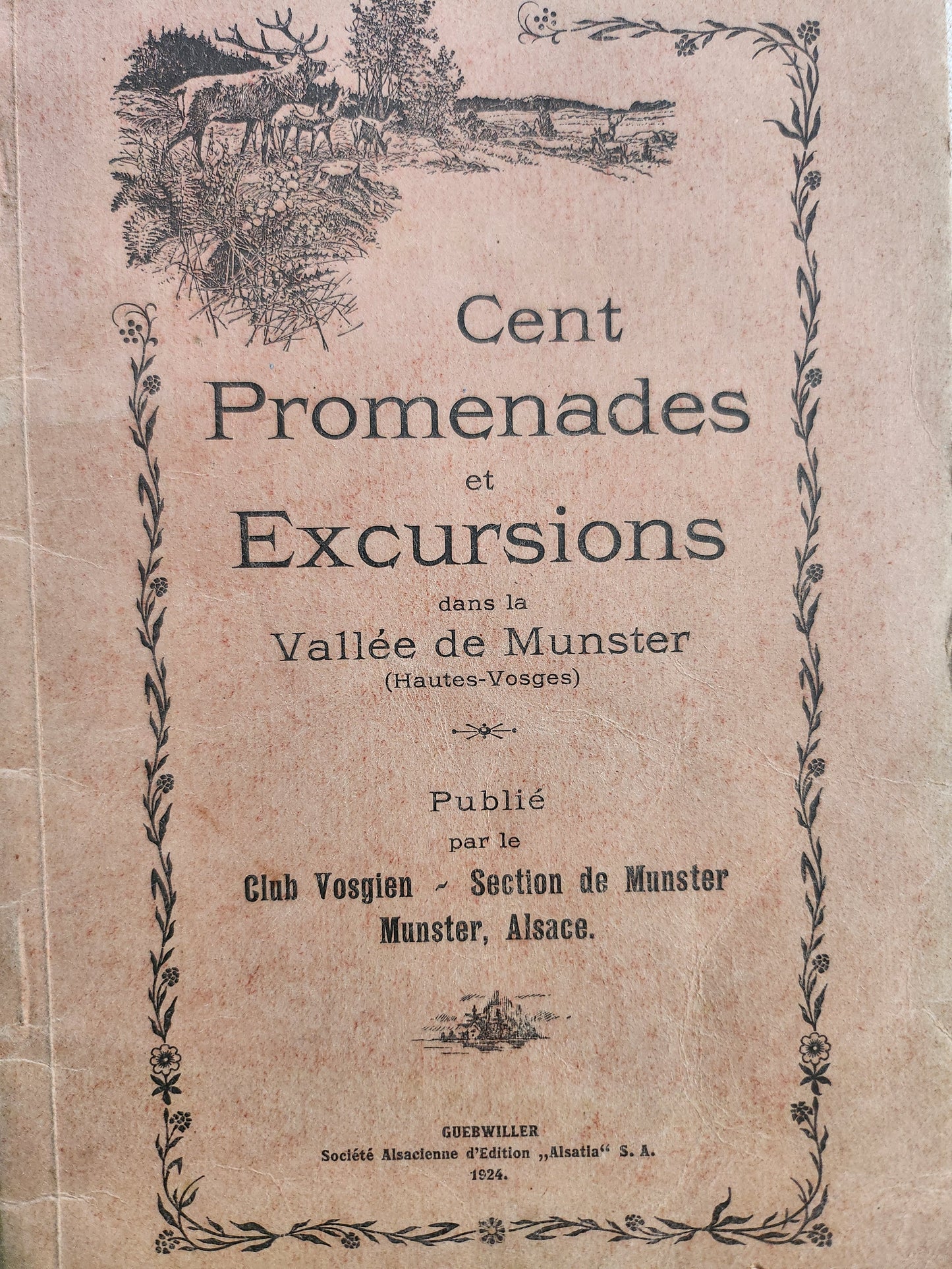 Guide promenade et excursions MUNSTER Patine