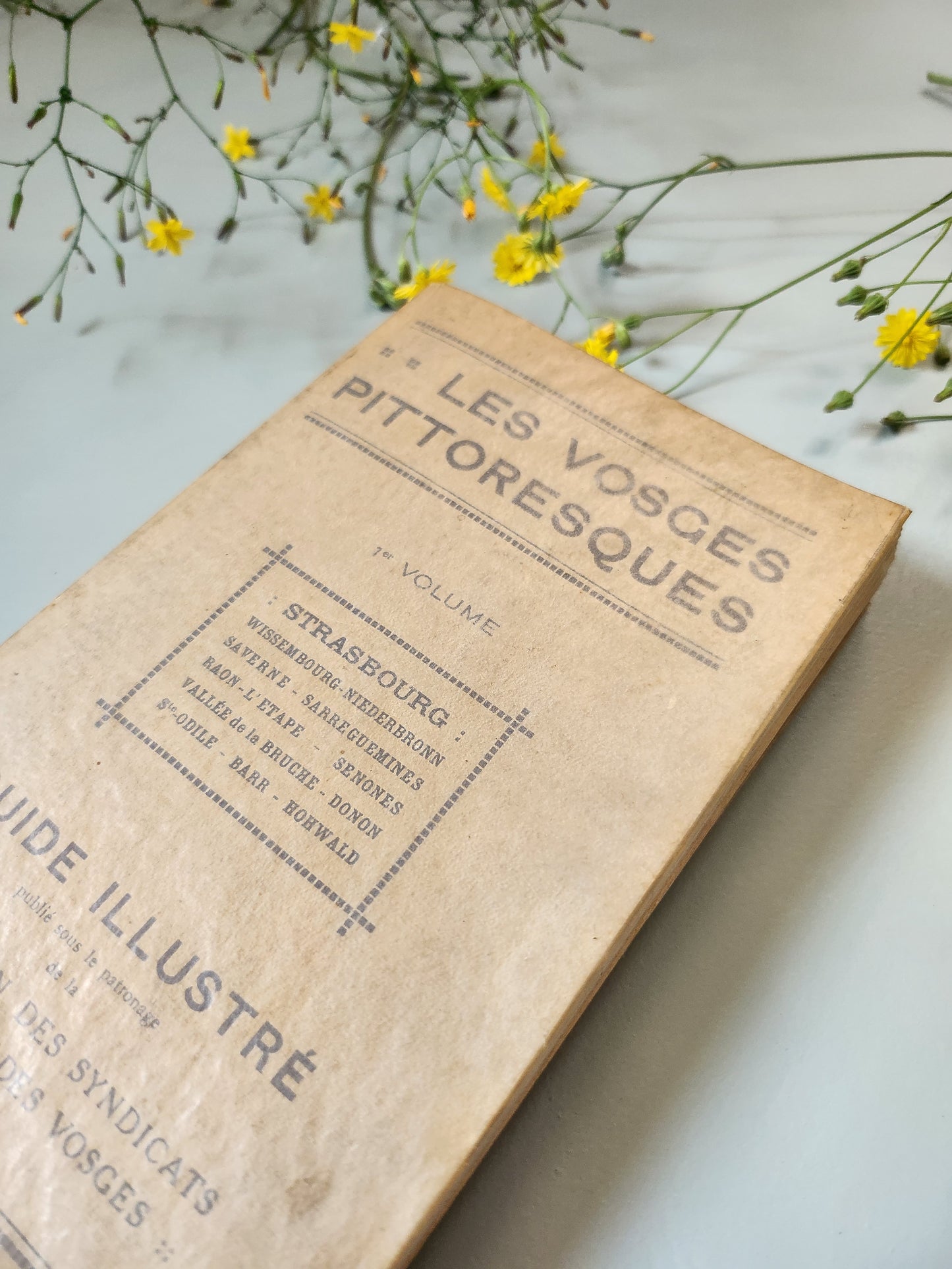 Guide "les vosges pittoresques" Patine