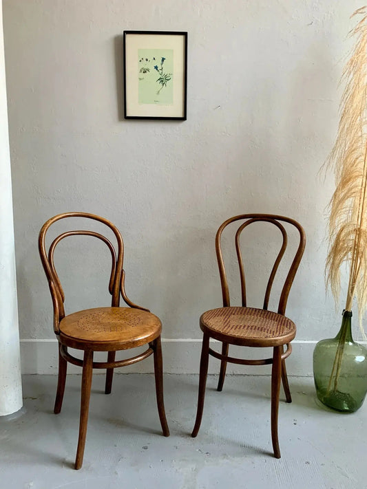 La chaise bistrot : un classique intemporel de l'histoire de la décoration et de l'architecture Patine