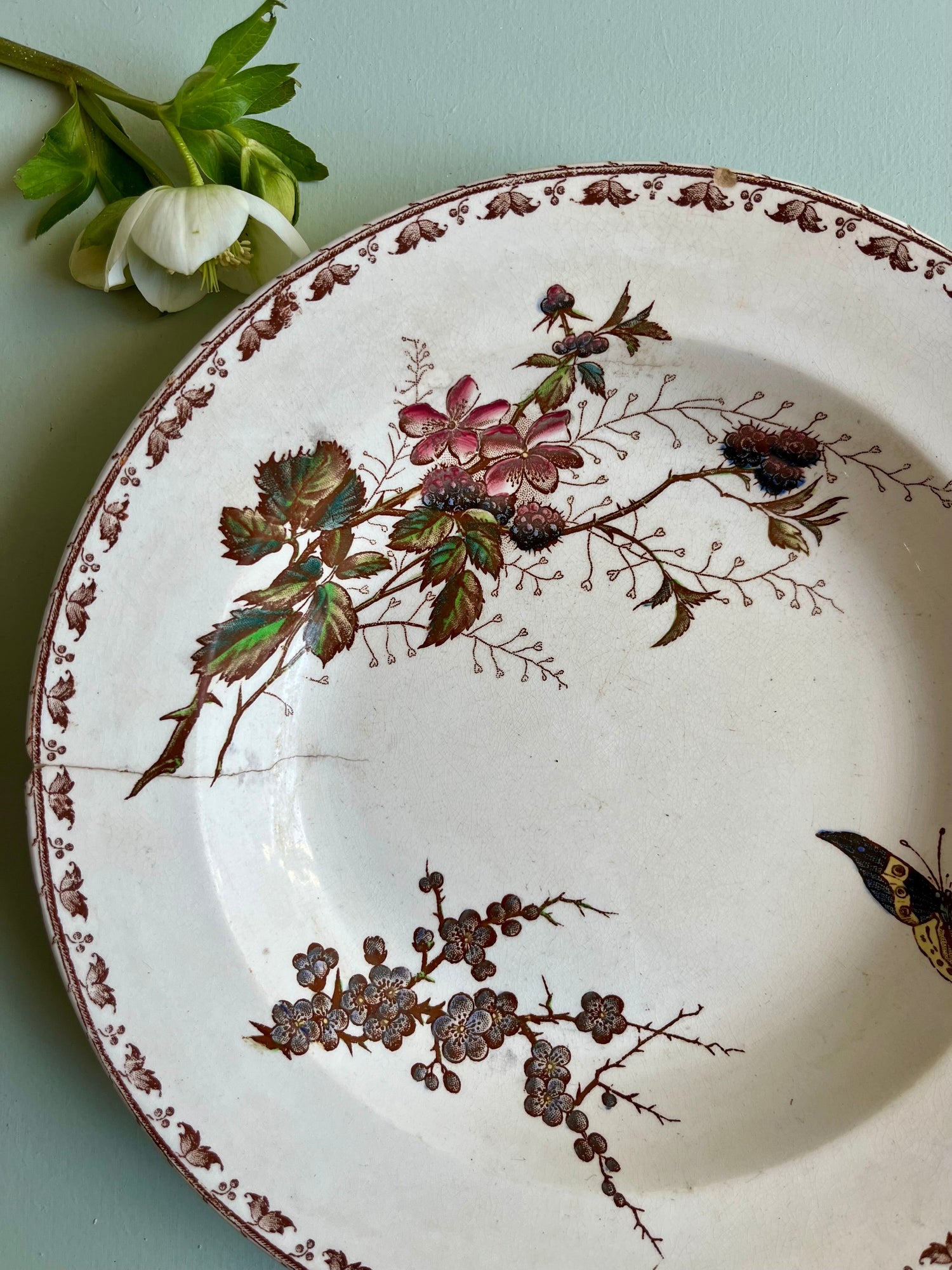 Gros plan sur une assiette terre de fer modèle Carmen. Frise au pourtour, dessins mêlant branchages, fleurs, papillons. Teintes pourpre.