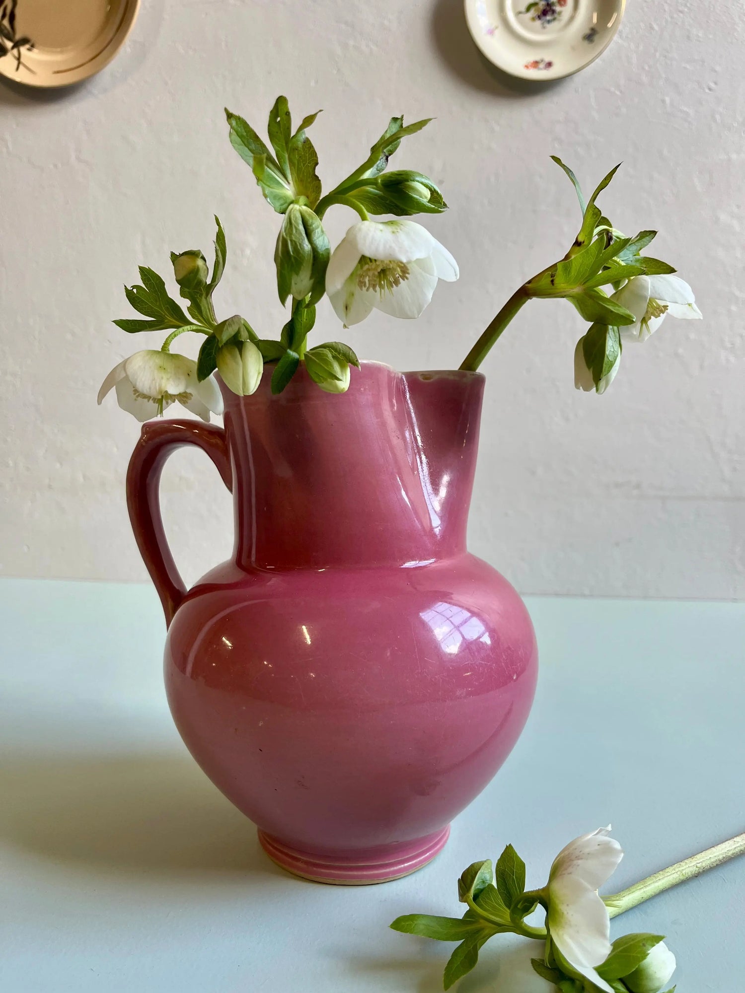 Grand pichet ou broc ancien en céramique vernissée rose fuchsia ou framboise, garni de fleurs blanches de type hellébores. Posé sur un fond uni vert amande à côté d'une tige fleurie, avec deux petites assiettes vintage fixées au mur en arrière-plan.