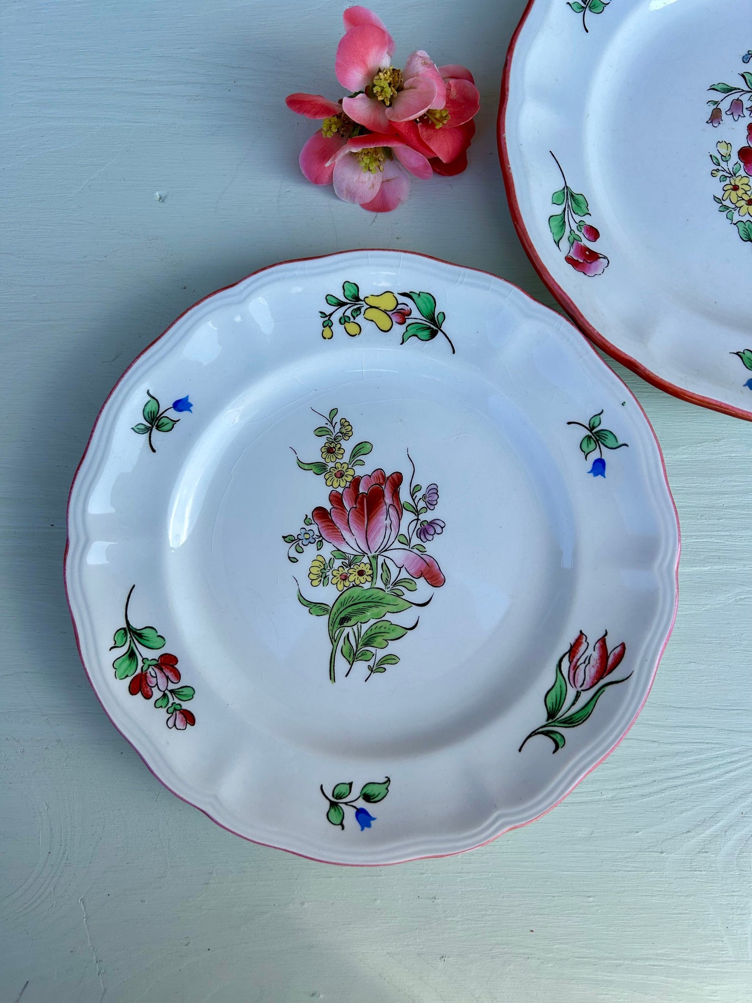 Gros plan sur une assiette plate décor floral sur fond blanc, modèle vieux strasbourg Luneville