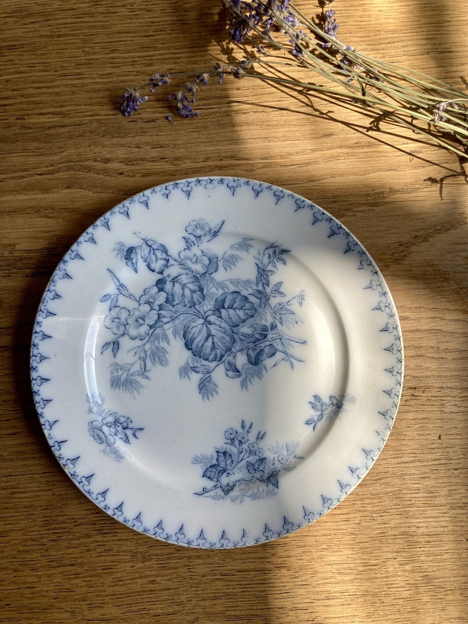 Assiette ter de fer Flore - Motifs végétaux et floraux sur fond blanc