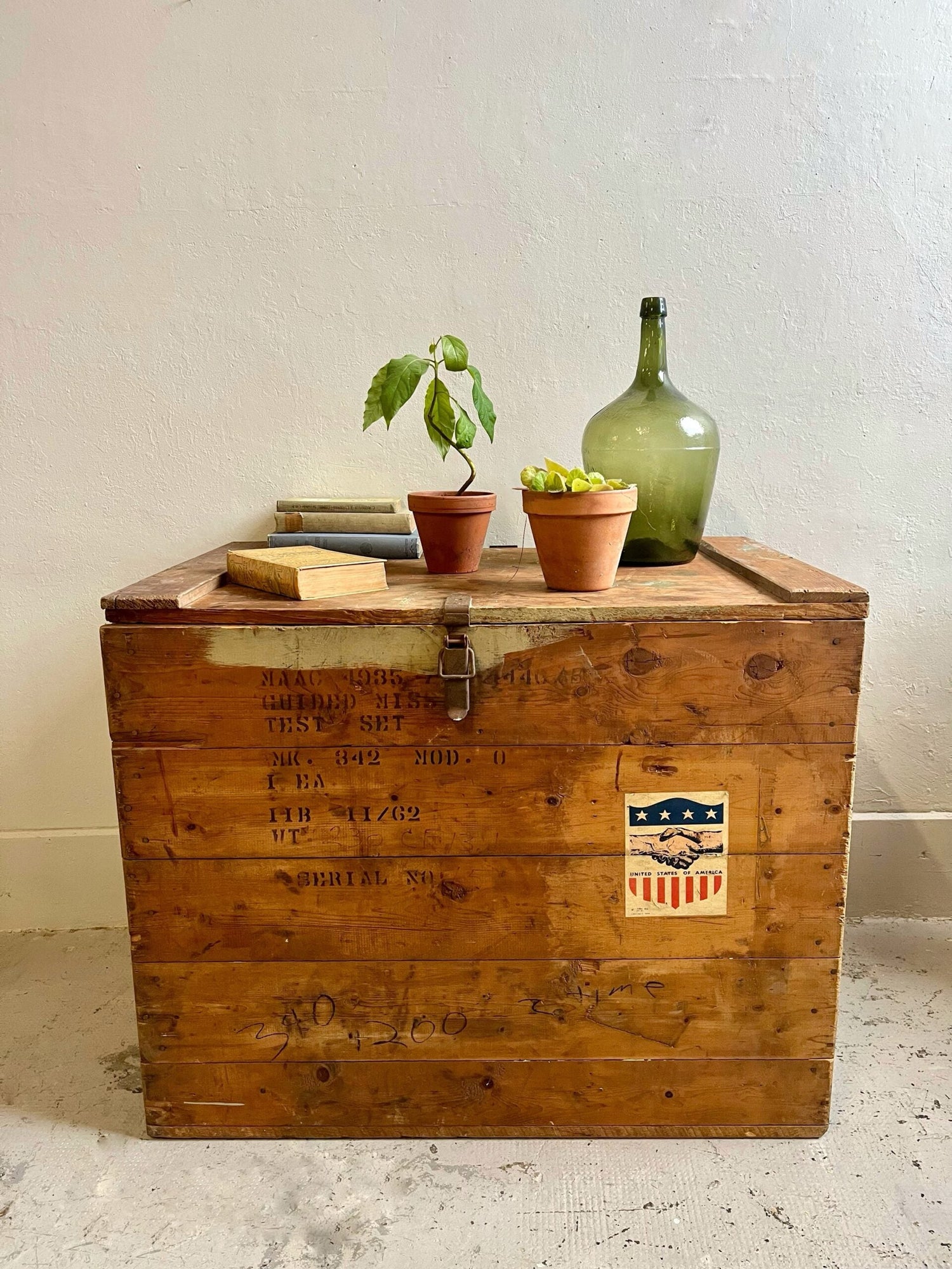Caisse militaire ancienne en bois brut avec inscriptions au pochoir et écusson vintage. Dessus posés : deux plantes vertes en pots de terre cuite, des livres anciens empilés et une grande dame-jeanne en verre vert, devant un mur blanc.