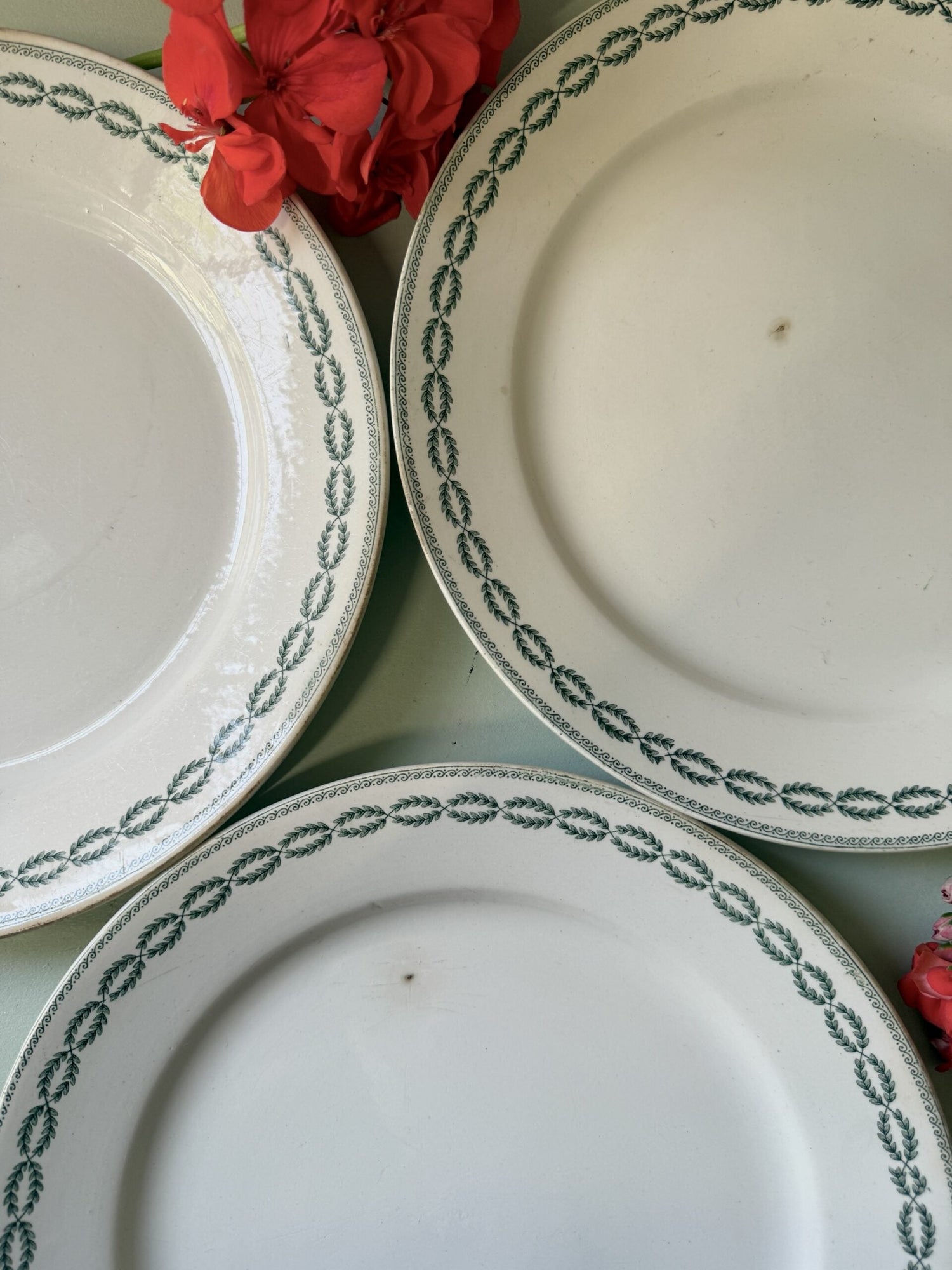Trois assiettes anciennes en faïence blanche avec une frise délicate de feuilles vertes en guirlande sur le marli. Disposées en éventail sur un fond vert amande, garnies de quelques fleurs de géranium rouge vif.