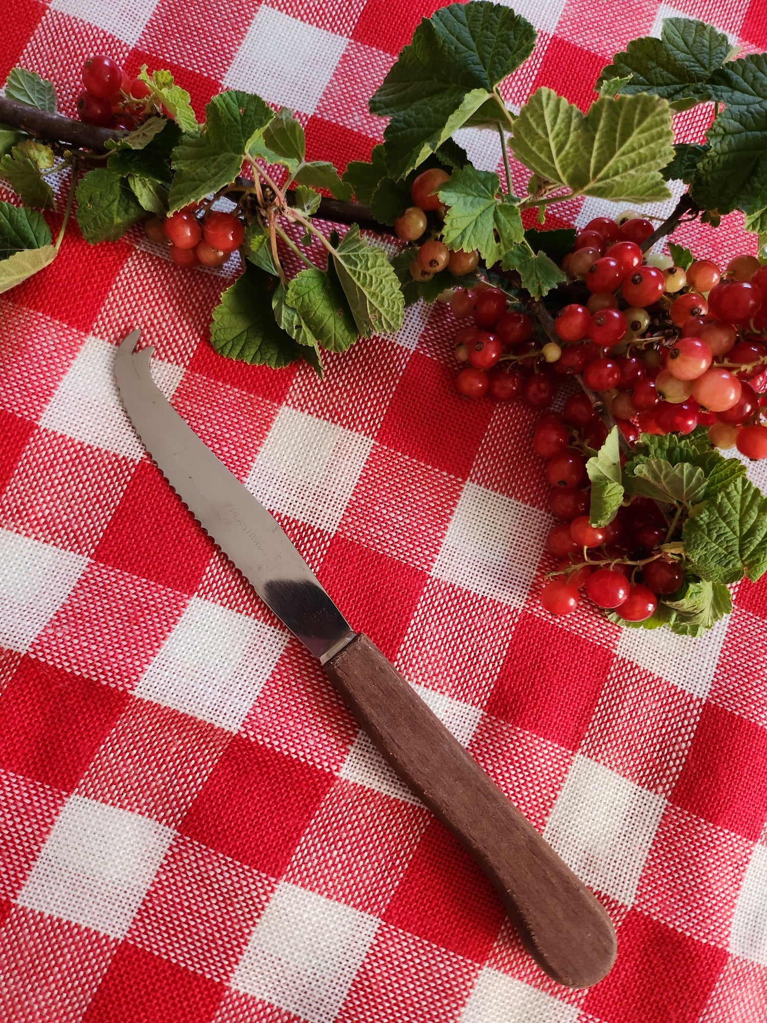 couteau à fromage avec manche en bois sur une nappe vichy rouge 