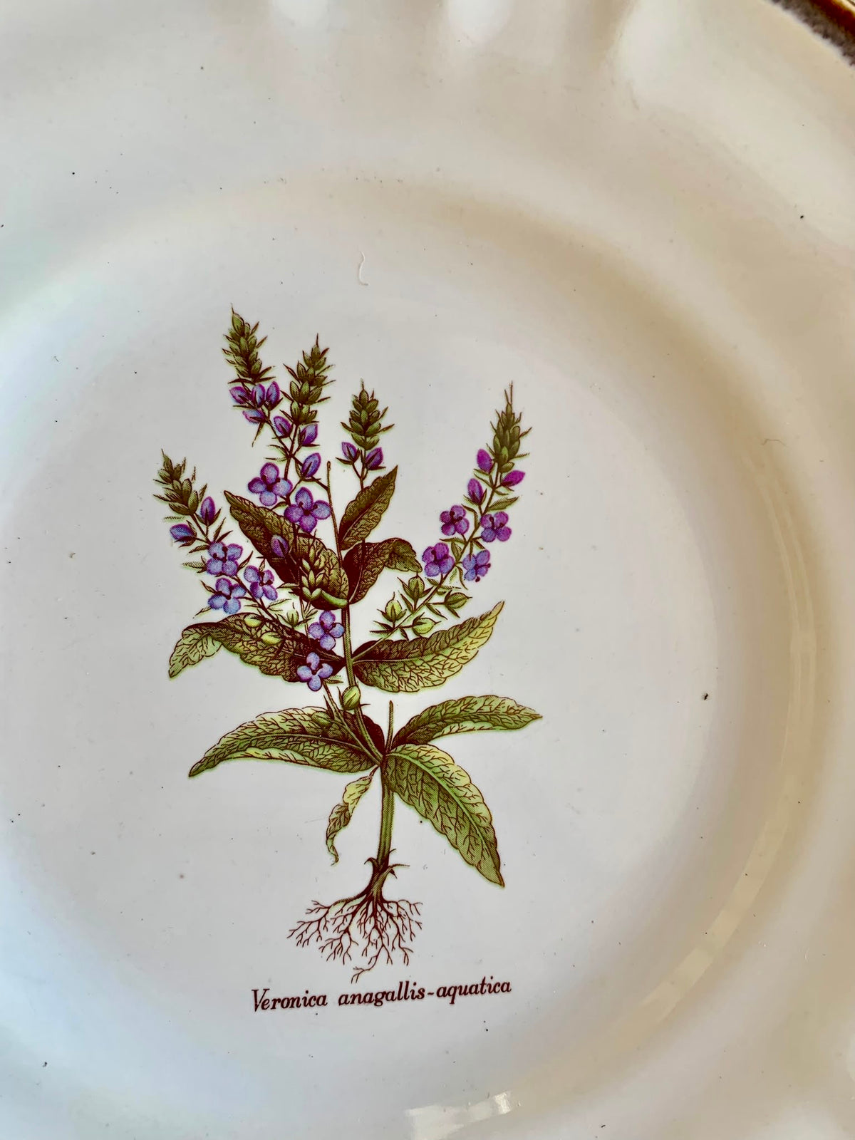 Assiettes botaniques – Faïences de Haute-Provence-lot de 3  Vaisselle Patine