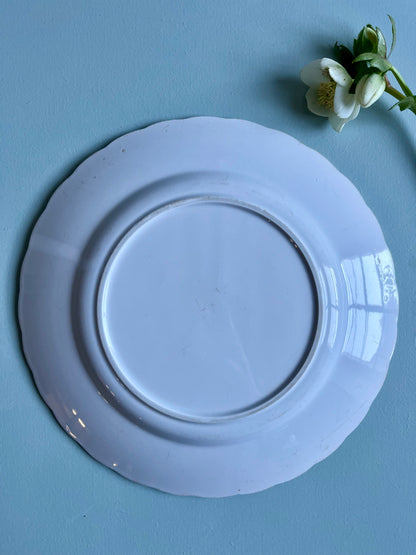 Assiettes en faïence bordure bordeaux-lot de 2