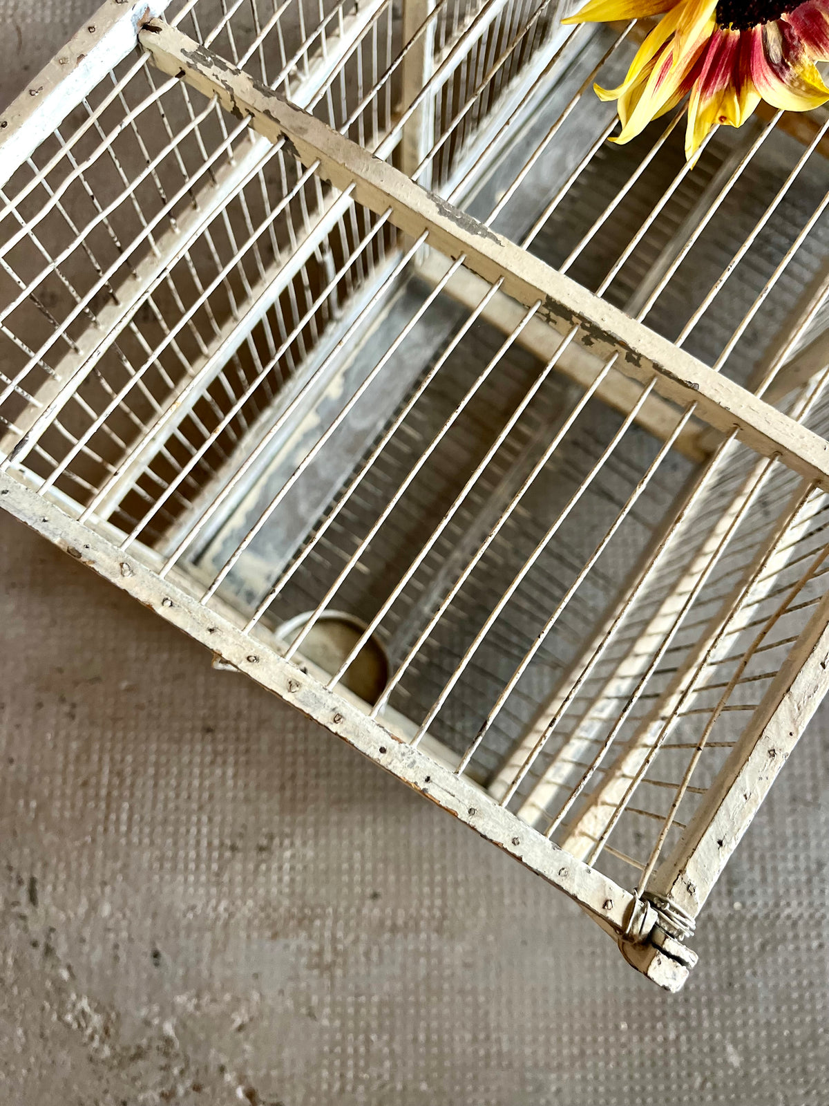 Cage à oiseaux ancienne  Décoration Patine