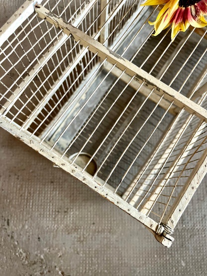 Cage à oiseaux ancienne  Décoration Patine