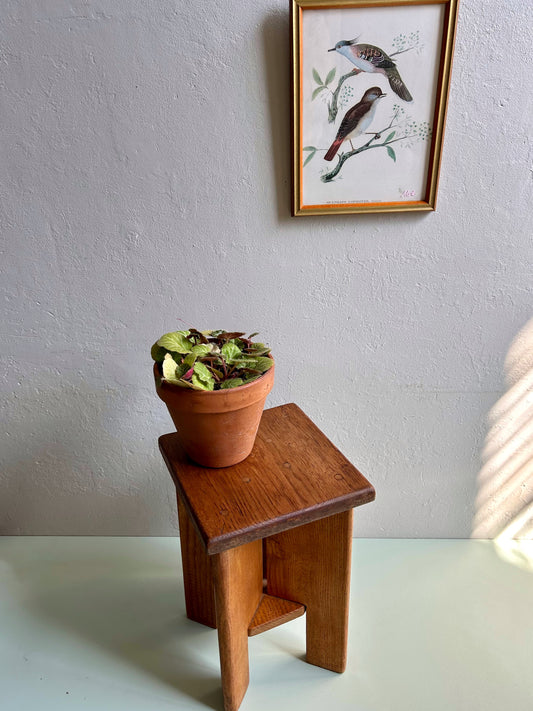 Porte plante - sellette