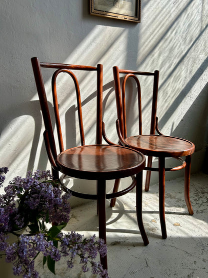 Chaise bistrot bois courbé - lot de 2