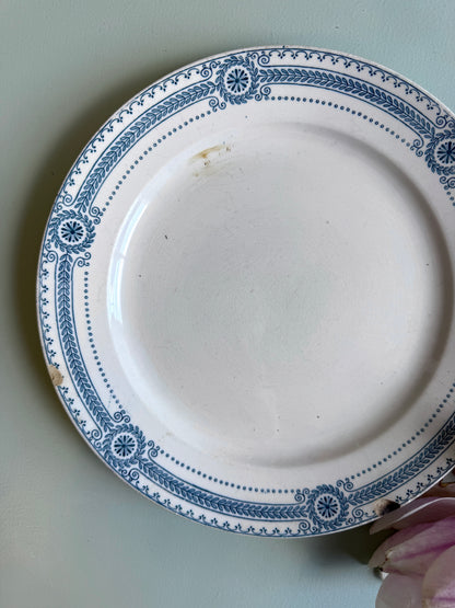 Assiette plate modèle Carina de Sarreguemines
