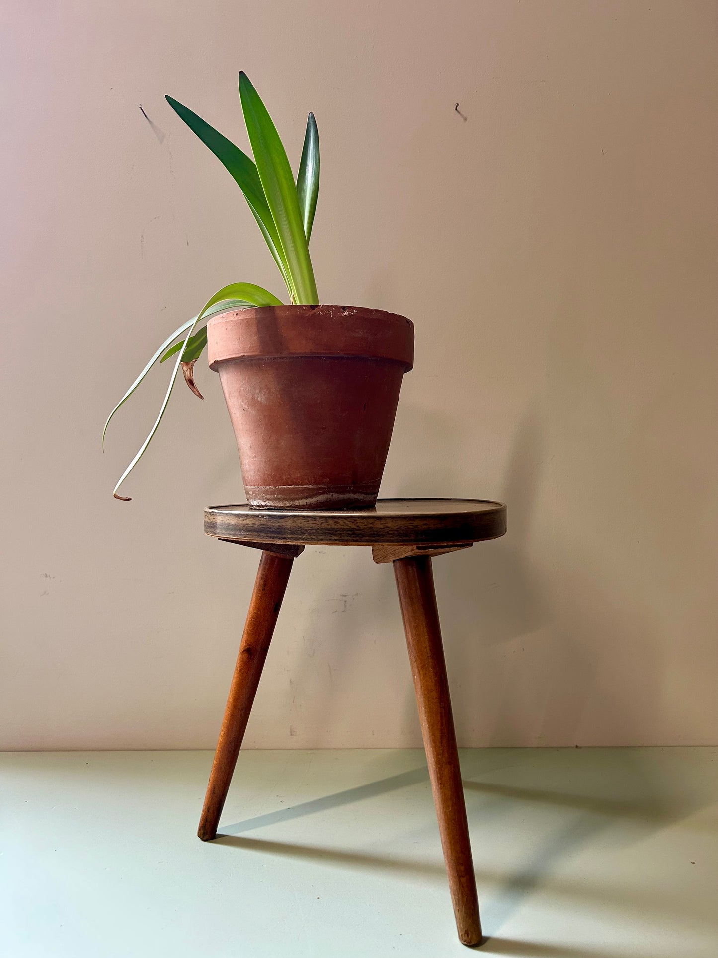 Tripode - porte plante  Meubles Patine