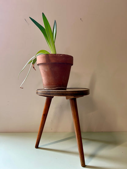Tripode - porte plante  Meubles Patine