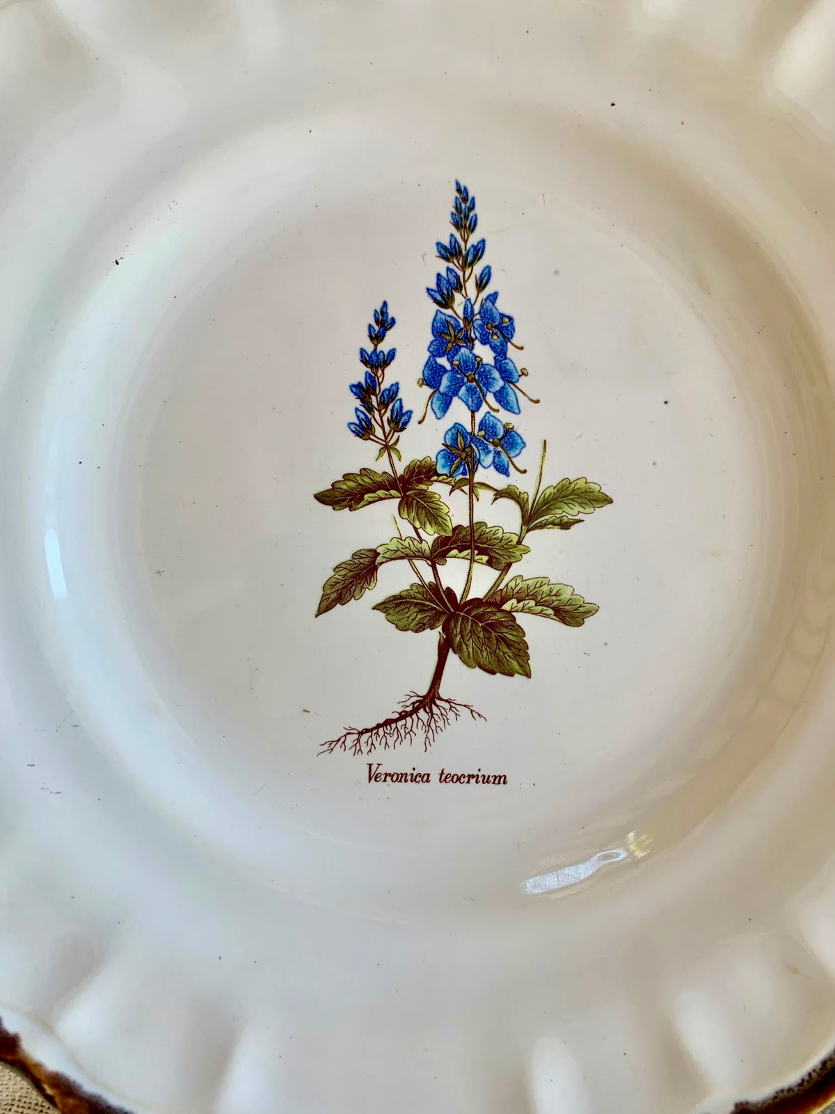 Assiettes botaniques – Faïences de Haute-Provence-lot de 3  Vaisselle Patine