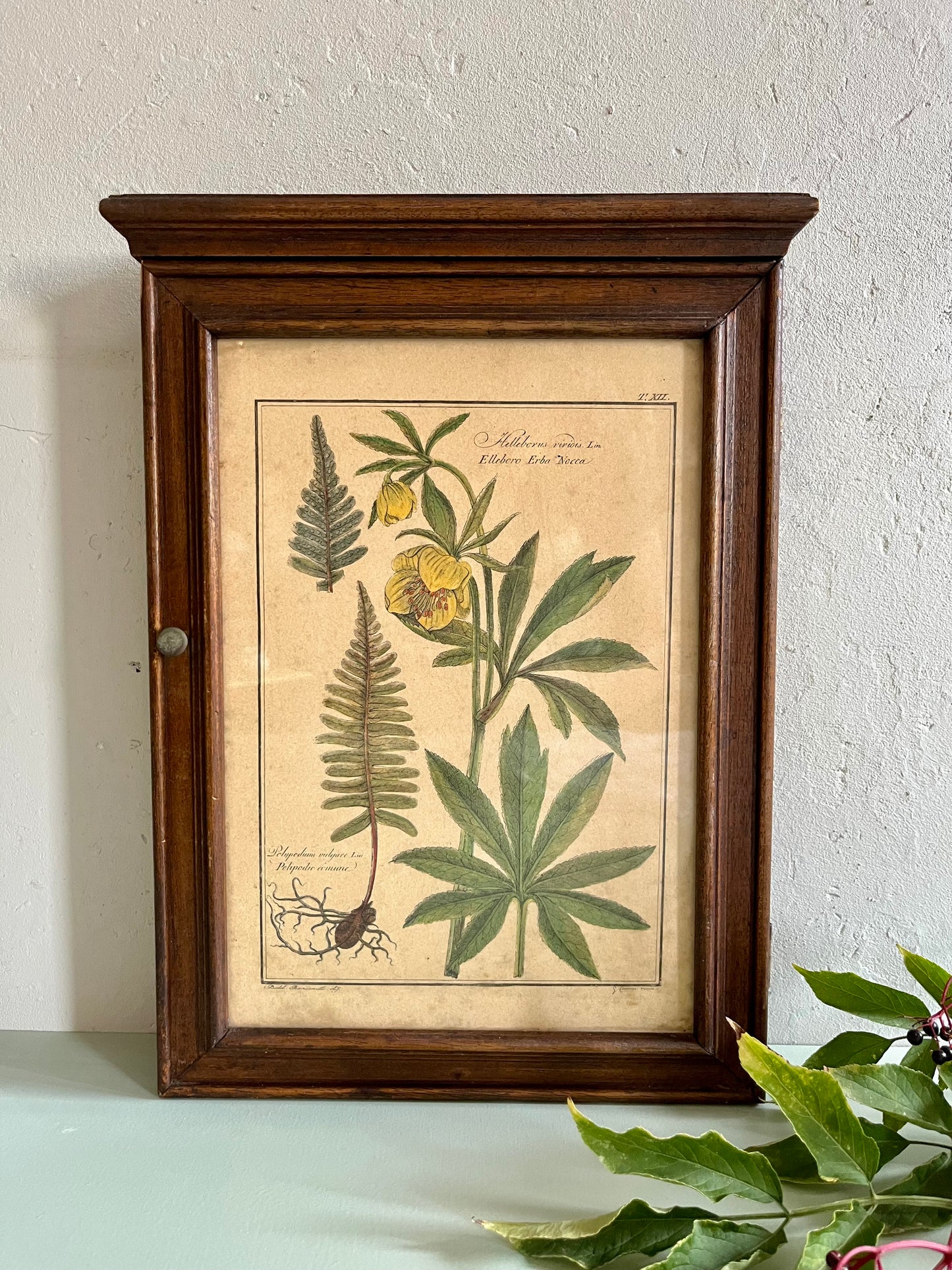 Boîte à clés ancienne avec lithographie  Décoration Patine