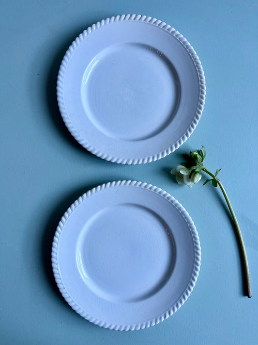 Assiettes plates en faïence blanches-lot de 2