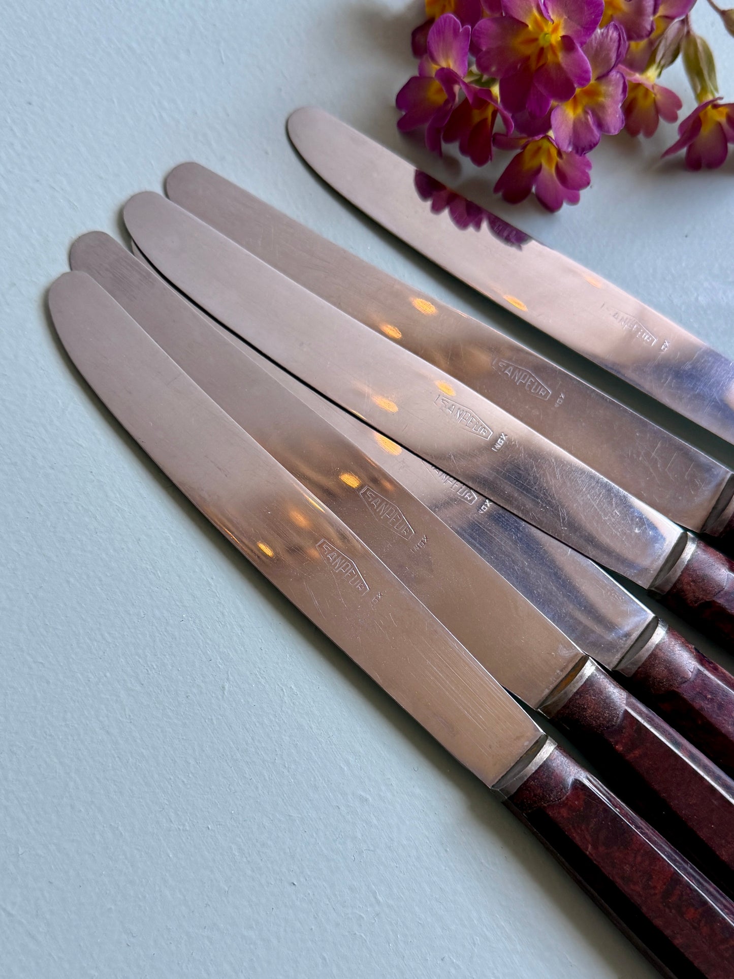 Couteaux inoxydables - lot de 6