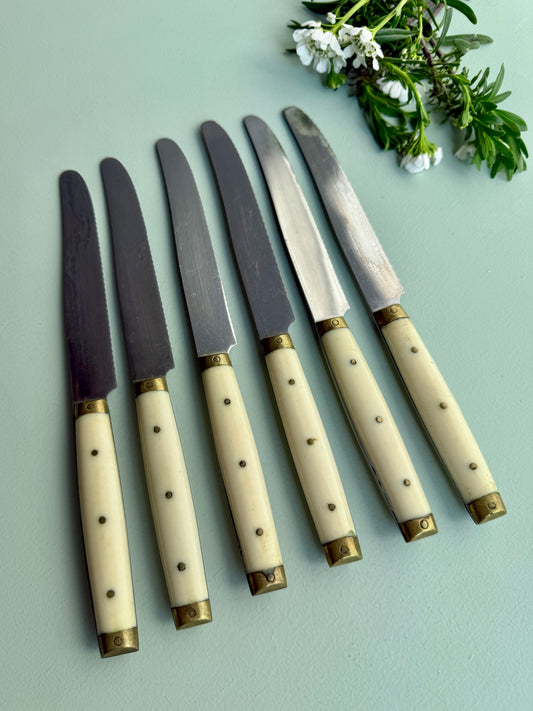 Couteaux LAVinox - lot de 6