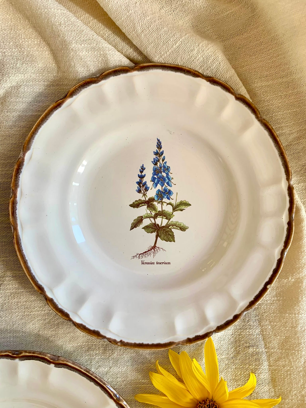 Assiettes botaniques – Faïences de Haute-Provence-lot de 3  Vaisselle Patine