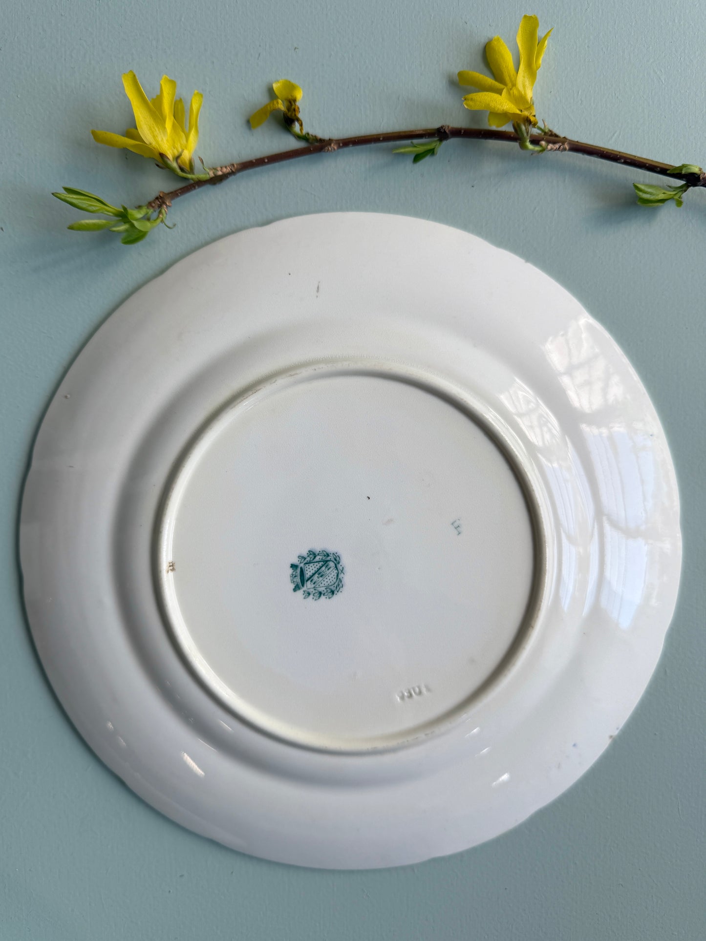 Assiette à dessert Epines bleue de Sarreguemines décor floral