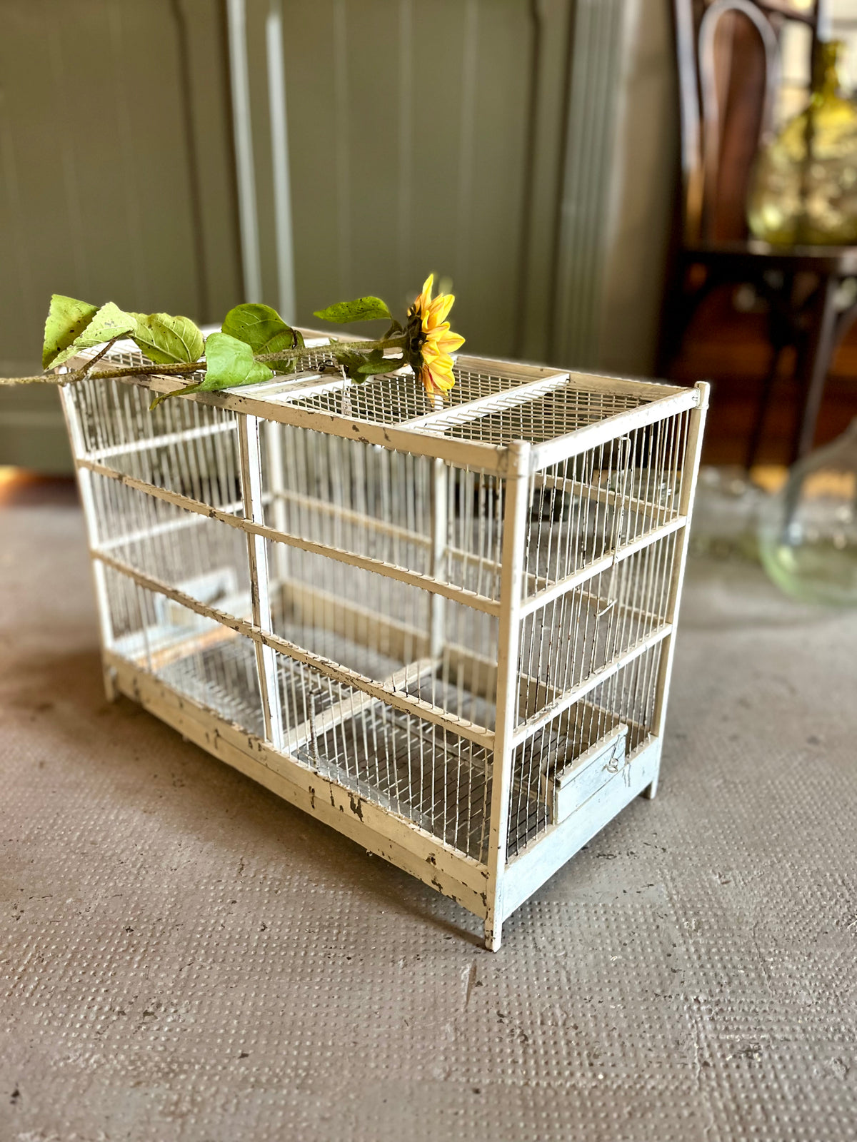Cage à oiseaux ancienne  Décoration Patine
