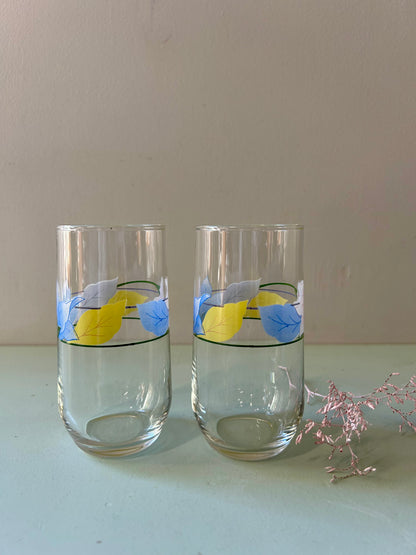 Verres Luminarc Bahamas lot de 2
