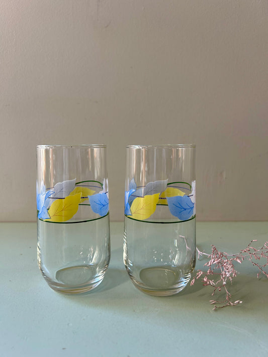 Verres imprimés fleuris - lot de 2