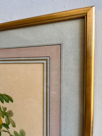 Tableau-lithographie rose jaune