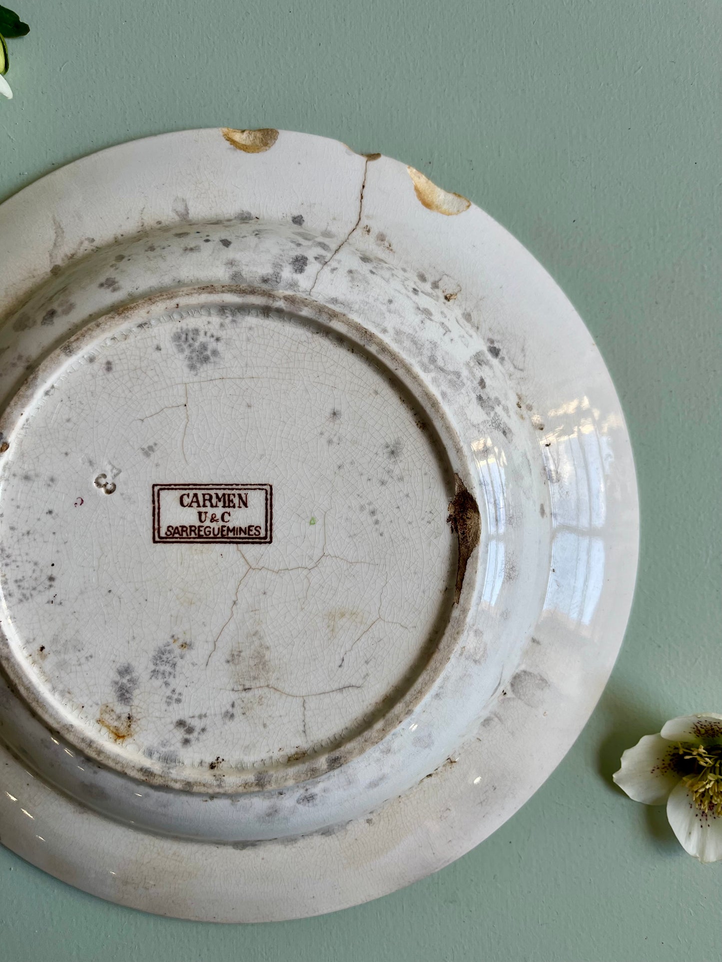 Assiette creuses Sarreguemines modèle « Carmen »