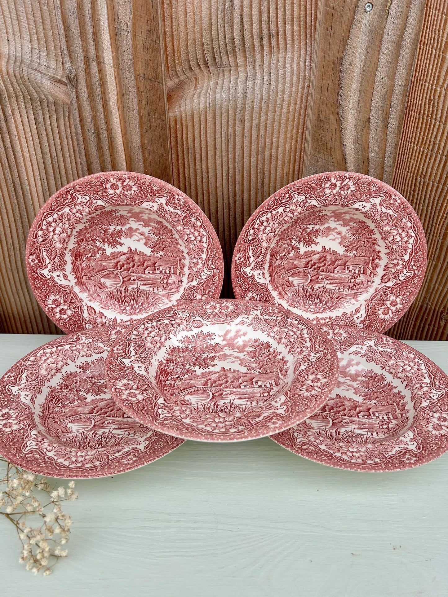 Assiettes creuses EIT England - lot de 5